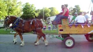 preview picture of video 'Belgian Draft Horses in Walkerton, Indiana Fireman's Parade'