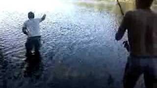 preview picture of video 'Carp fishing Barragem da Meimoa'