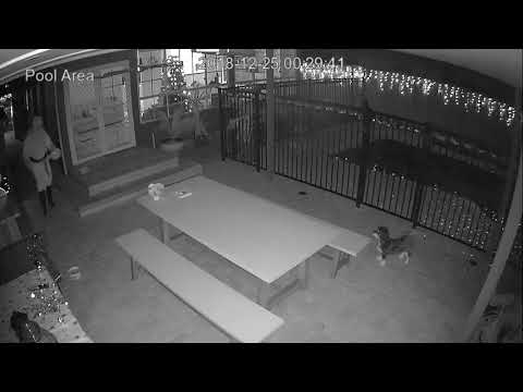 Santa caught on security camera