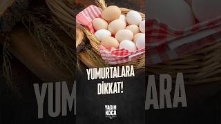Yumurtalara Dikkat!