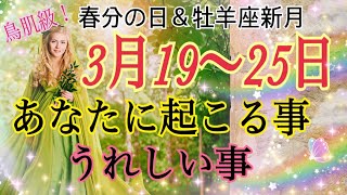 【春のお彼岸🌸最強開運1週間】3月19〜25日🕊あなたに起こる事🌈嬉しい事😊✨最強に開運する1週間リーディング💖