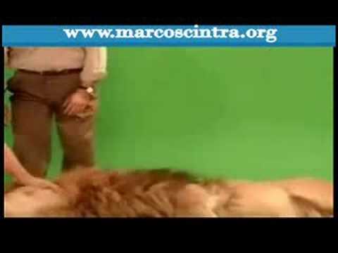 Making Of Campanha Marcos Cintra 2002 :: Imposto Único