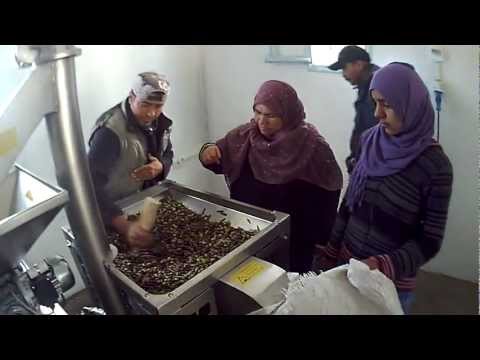 OLIOMIO 80 PLUS - Olive oil mill - Moulin à huile - Oleificio