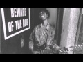 Hound Dog Taylor - See Me In The Evening