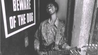Hound Dog Taylor - See Me In The Evening