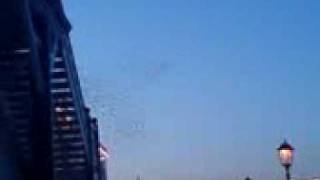 Flock of Starlings Eastbourne pier
