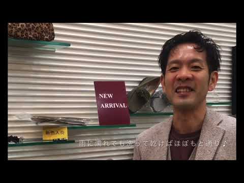 ジークムント・フロイト