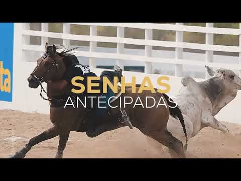 Vaquejada de inhapi Alagoas 