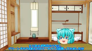 【ゆっくり】C96 3日目・4日目参加してきます！！