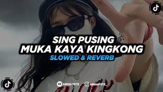 Download lagu DJ Sing Pusing Muka Kaya Kingkong - Slowed   Reverb 🎧 mp3