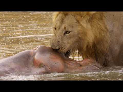 Documentario: Zambia L'arrivo Delle Pioggie