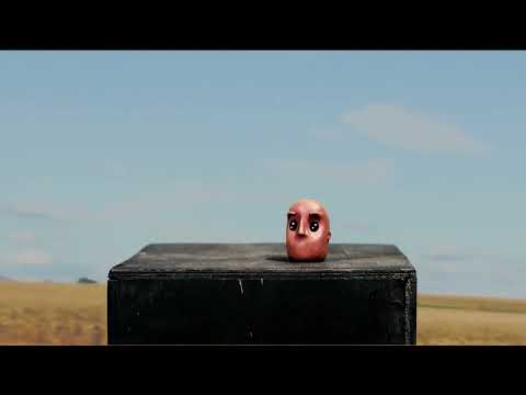 ZÉ BOLEIA PERDE A CABEÇA | TÓPICOS EM CINEMA E AUDIOVISUAL II