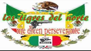 los tigres del norte me dicen perseverante