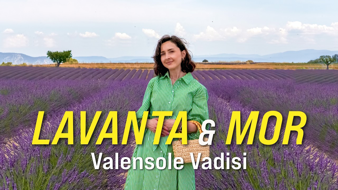 Valensole Lavender Fields: The Story Behind Purple Horizons