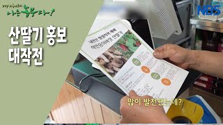 [산딸기 부자의 농사 정복기] 아들 건웅 씨가 산딸기 홍보 전단지... 아버지한테 합격점 받을 수 있을까?