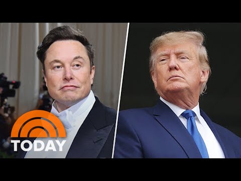 Elon Musk Says He Would Allow Donald Trump To Return To Twitter