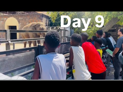 Day 9 In Yerevan Zoo 