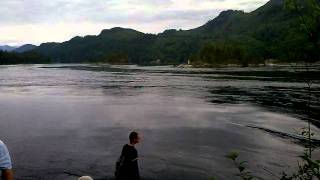 preview picture of video 'Skookumchuck Rapids near Egmont, British Columbia'