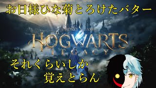 【Hogwarts Legacy Deluxe Edition】ネズミを黄色に変える魔法しか知らんのですが大丈夫ですか？