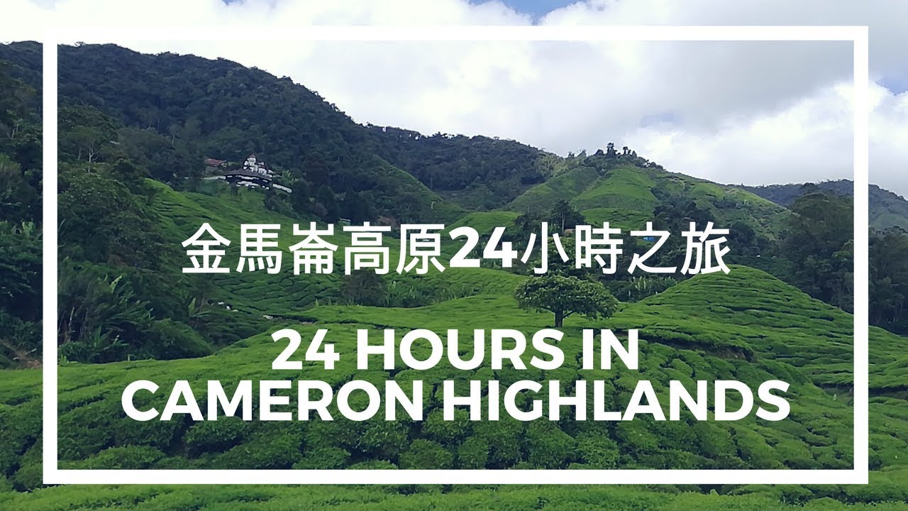 Cameron Highlands, Malaysia 24 Hours   金马仑高原24 小时之旅