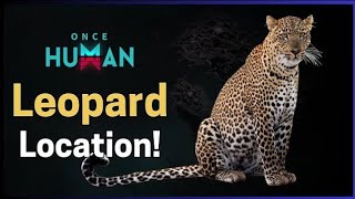 Leopard New (3) Location in Once Human, (Latest updates) Mainbus, & Endless Dream