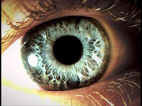 Kigidi Karma - mini Memuarai (2012)