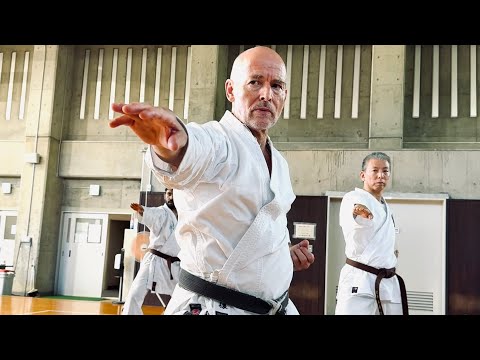 [Karate and Tai Chi Fusion] Wolf Sensei's Elegant and Ageless Karate/ SKIF Tokushima Branch