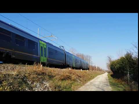 MINUETTO E. IN TRANSITO IN CAMPAGNA A BORGO S. DALMAZZO (CN) VEN. 14 - 12 - 2018