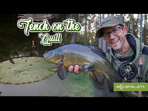 Tench On The Quill