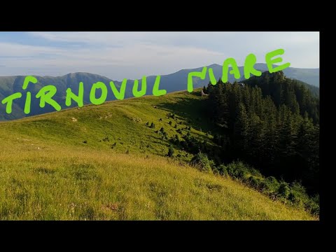 Tarnovul Mare , vf. Capatana(Balota) si vf. Ursu (2124m)