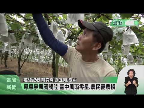 鳳凰暴風圈觸陸 臺中風雨零星.農民憂農損