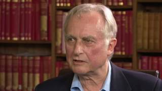 Richard Dawkins Interview - 19 June 2016