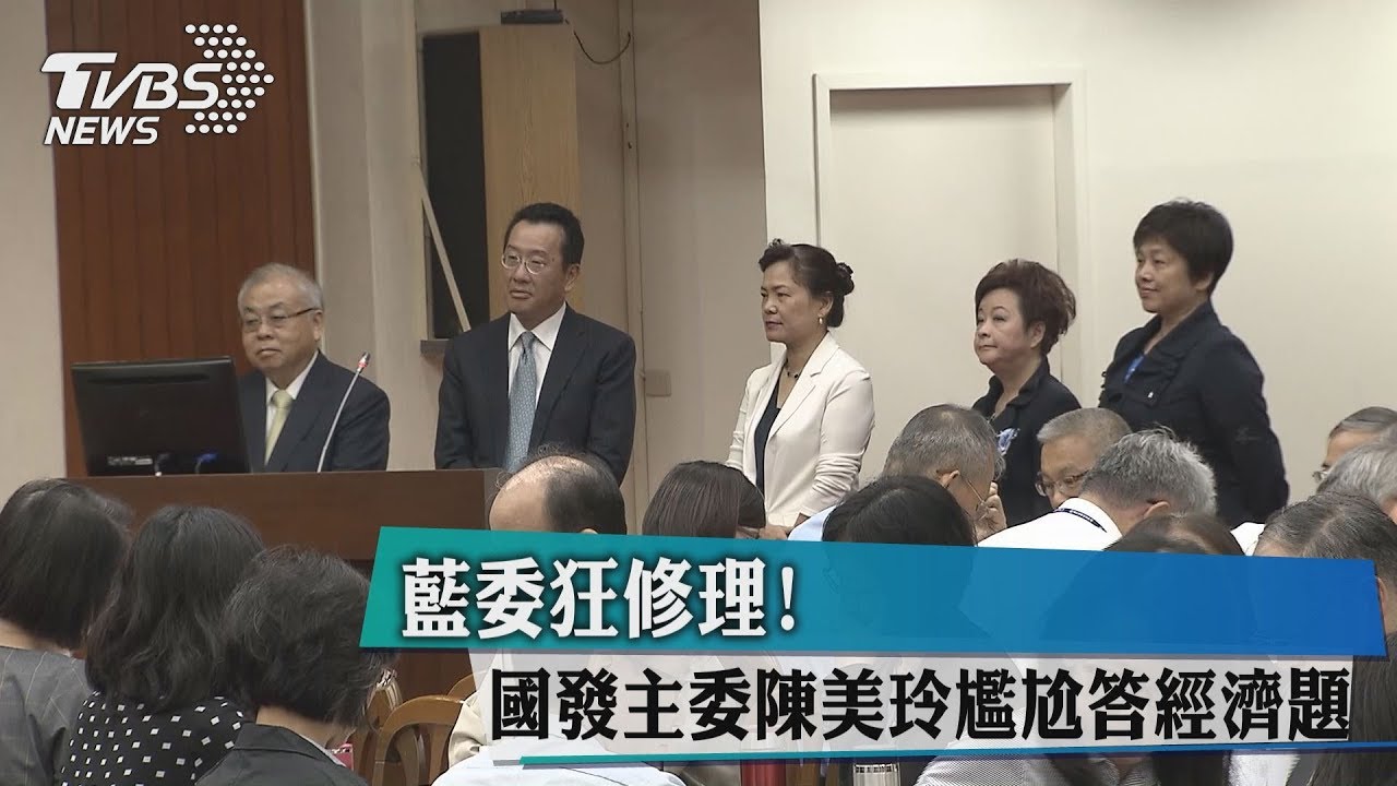 藍委狂修理! 國發主委陳美伶尷尬答經濟題