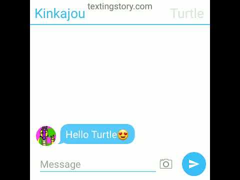Kinkajou And Turtle Texting