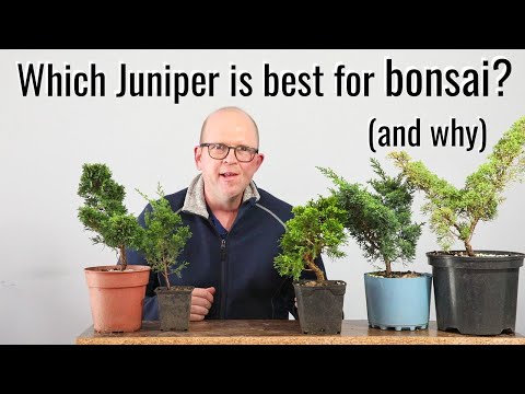 I wish I'd seen this video 2 years ago!