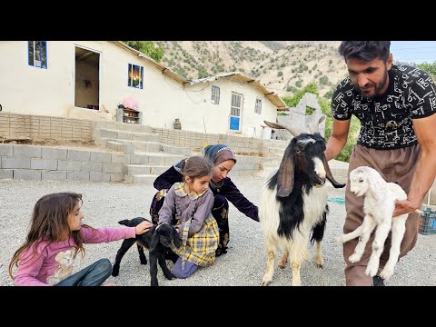 Construction master rescue the goat lost in the mountains and bring it back home