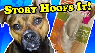 Nylabone alternative & natural cow hoof comparison - Dog Toy