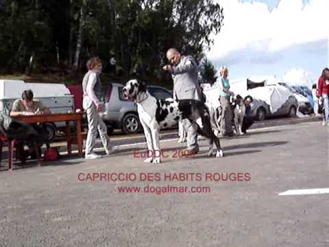EuDDC 2009 - CAPRICCIO DES HABITS ROUGES - 1º LUGAR - www.dogalmar.com