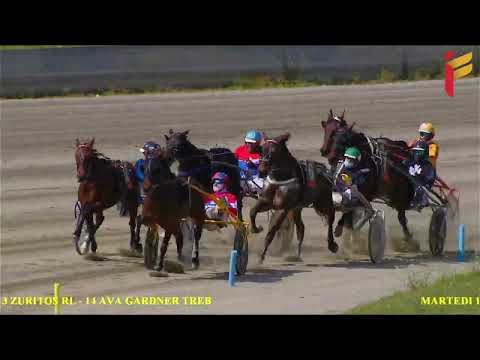 II Corsa del 19 Aprile 2022 - Cat. F - Metri 2000 Gentlemen Proprietari