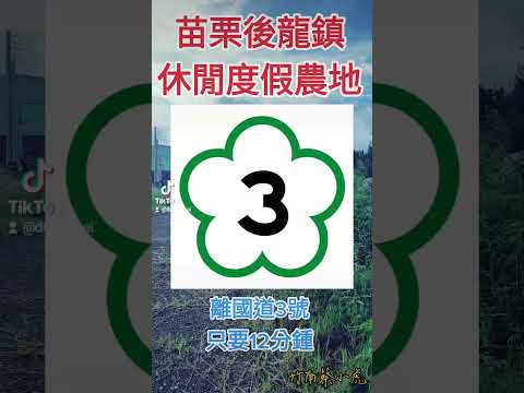 Agente de compra e entrega da cidade de Holong no condado de Miaoli