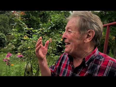 HundertundEinTag # 18