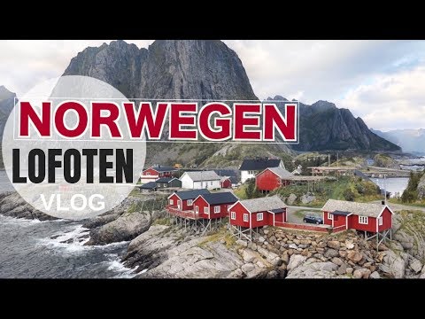 Norwegen Lofoten Reise VLOG | Travel with me I Dyedblondpony