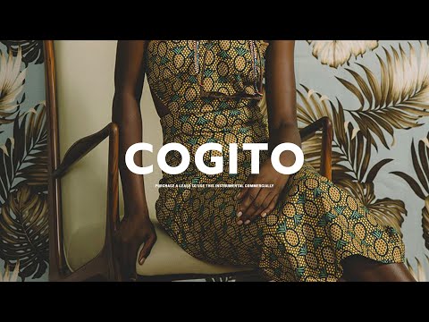 [FREE] Afrobeat Wizkid x Burna boy Type Beat - "Cogito"