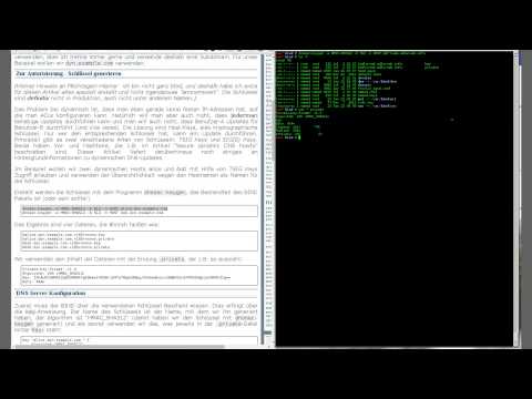 BitNotice #45 - Microsoft vs. No-IP // Dynamic DNS im Eigenbau