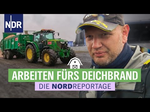 Deichbrand Festival: Bagger, Bässe, Bratwurstbude | Die Nordreportage | NDR