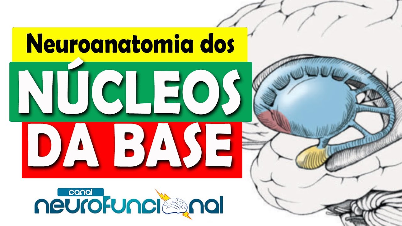NÚCLEOS DA BASE: Neuroanatomia Funcional (Aula Completa)