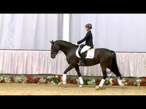 34 Fifty Four  Stute v. First Selection - Rosenduft