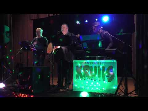 Ervin Lillepea & Kruiis - Armas tüdruk (tantsuõhtu live)