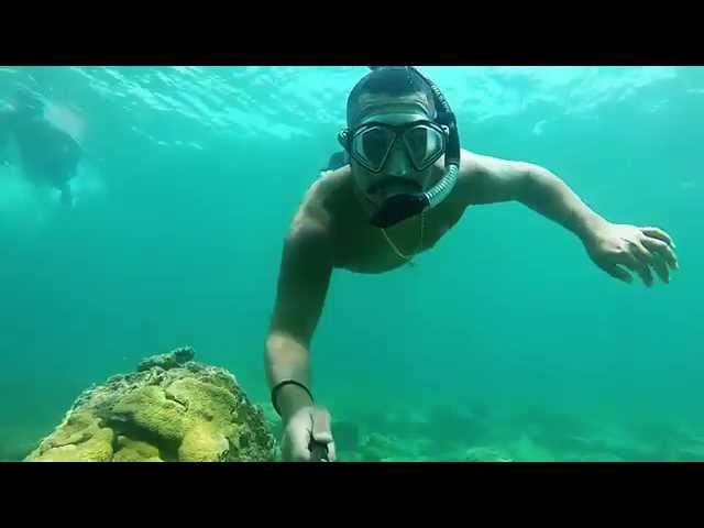 Snorkeling / Lauderdale By The Sea  (Watch in HD)