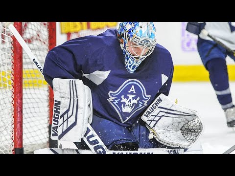 The rarest fight in hockey? Two goalies. Here's how it happened in an Admirals game.
